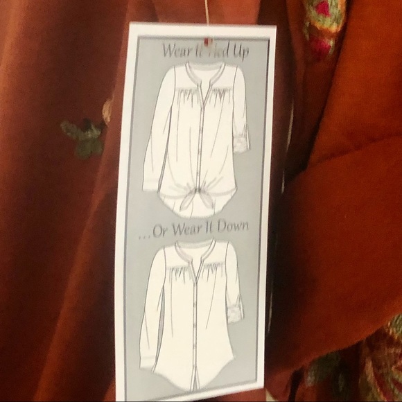 NWT Anthropologie Boho Rust Embroidered Top 2X - Picture 5 of 9